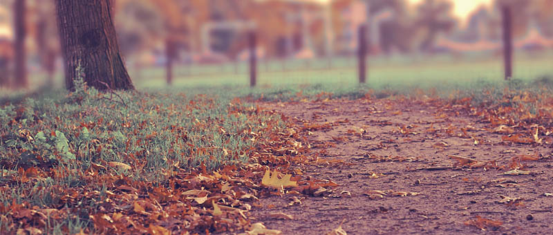 炸你妹在线轰炸